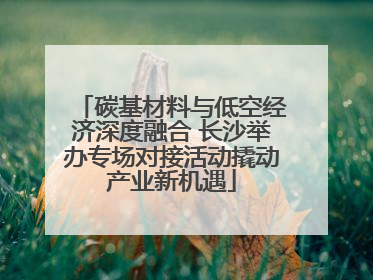 碳基材料与低空经济深度融合 长沙举办专场对接活动撬动产业新机遇