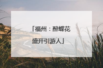 福州：醉蝶花盛开引游人