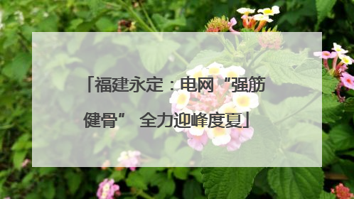 福建永定：电网“强筋健骨” 全力迎峰度夏