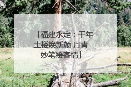 福建永定：千年土楼焕新颜 丹青妙笔绘客情