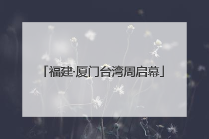 福建·厦门台湾周启幕