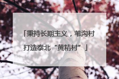 秉持长期主义，苇沟村打造泰北“黄精村”