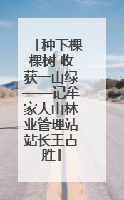 种下棵棵树 收获一山绿——记牟家大山林业管理站站长王占胜