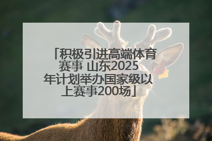 积极引进高端体育赛事 山东2025年计划举办国家级以上赛事200场