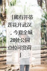 稀有并蒂莲花开武汉，今夏全城28处公园点位可赏荷