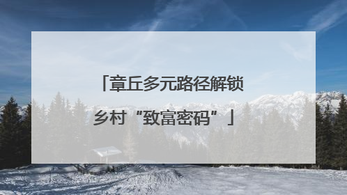 章丘多元路径解锁乡村“致富密码”