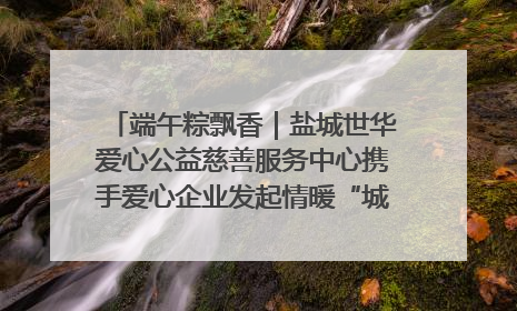 端午粽飘香｜盐城世华爱心公益慈善服务中心携手爱心企业发起情暖“城市守护者”慰问活动