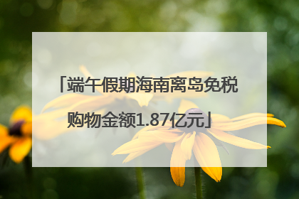 端午假期海南离岛免税购物金额1.87亿元