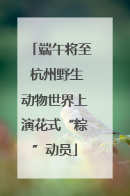 端午将至 杭州野生动物世界上演花式“粽”动员