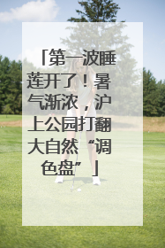第一波睡莲开了！暑气渐浓，沪上公园打翻大自然“调色盘”