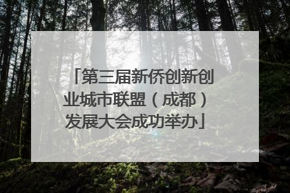 第三届新侨创新创业城市联盟（成都）发展大会成功举办