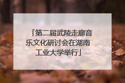 第二届武陵走廊音乐文化研讨会在湖南工业大学举行