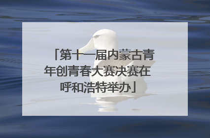 第十一届内蒙古青年创青春大赛决赛在呼和浩特举办