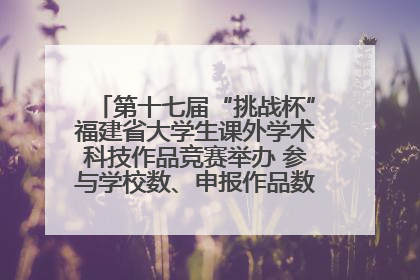 第十七届“挑战杯”福建省大学生课外学术科技作品竞赛举办 参与学校数、申报作品数创历史新高