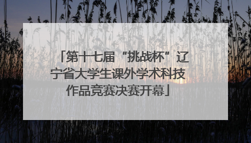 第十七届“挑战杯”辽宁省大学生课外学术科技作品竞赛决赛开幕