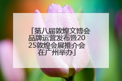 第八届敦煌文博会品牌运营发布暨2025敦煌会展推介会在广州举办
