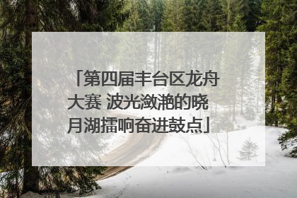 第四届丰台区龙舟大赛 波光潋滟的晓月湖擂响奋进鼓点