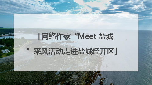 网络作家“Meet 盐城”采风活动走进盐城经开区