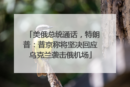 美俄总统通话，特朗普：普京称将坚决回应乌克兰袭击俄机场