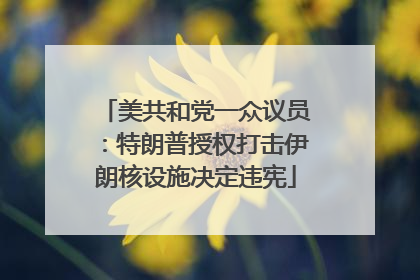 美共和党一众议员：特朗普授权打击伊朗核设施决定违宪
