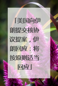 美国向伊朗提交核协议提案，伊朗回应：将按原则适当回应
