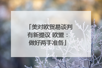 美对欧贸易谈判有新提议 欧盟：做好两手准备