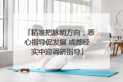 精准把脉明方向，悉心指导促发展 成都经实中迎调研指导