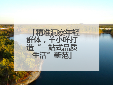 精准洞察年轻群体，羊小咩打造“一站式品质生活”新范