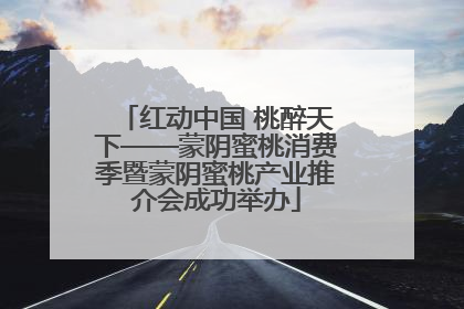 红动中国 桃醉天下——蒙阴蜜桃消费季暨蒙阴蜜桃产业推介会成功举办