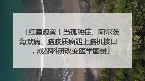 红星观察丨当孤独症、阿尔茨海默病、脑胶质瘤遇上脑机接口，成都科研改变医学图景