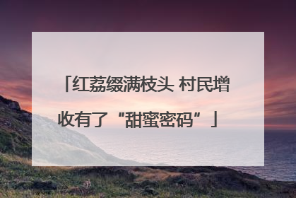 红荔缀满枝头 村民增收有了“甜蜜密码”