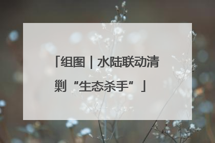 组图｜水陆联动清剿“生态杀手”