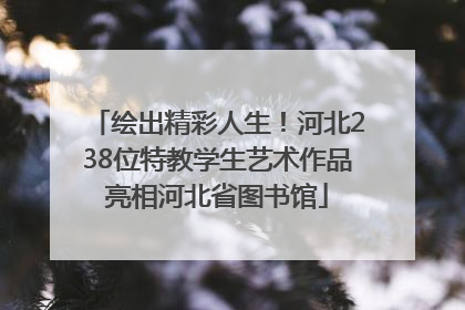 绘出精彩人生！河北238位特教学生艺术作品亮相河北省图书馆