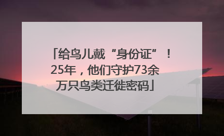 给鸟儿戴“身份证”！25年，他们守护73余万只鸟类迁徙密码