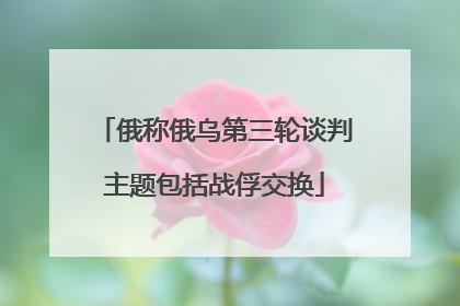 俄称俄乌第三轮谈判主题包括战俘交换