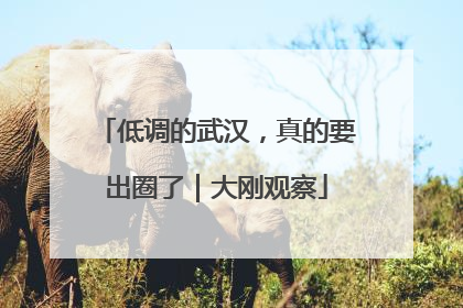 低调的武汉，真的要出圈了｜大刚观察