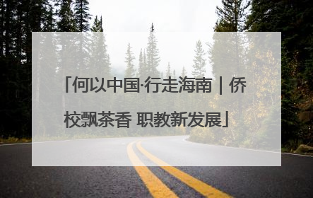 何以中国·行走海南｜侨校飘茶香 职教新发展