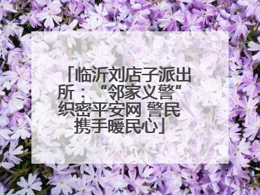 临沂刘店子派出所：“邻家义警”织密平安网 警民携手暖民心
