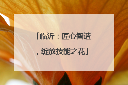 临沂：匠心智造，绽放技能之花
