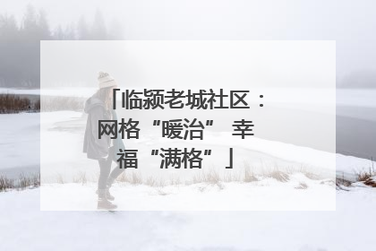 临颍老城社区：网格“暖治” 幸福“满格”