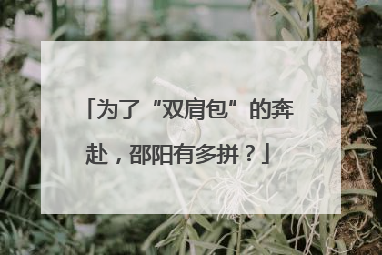 为了“双肩包”的奔赴，邵阳有多拼？