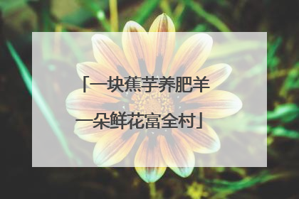 一块蕉芋养肥羊 一朵鲜花富全村
