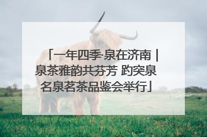 一年四季·泉在济南｜泉茶雅韵共芬芳 趵突泉名泉茗茶品鉴会举行