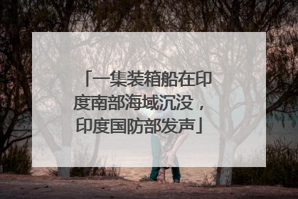 一集装箱船在印度南部海域沉没，印度国防部发声