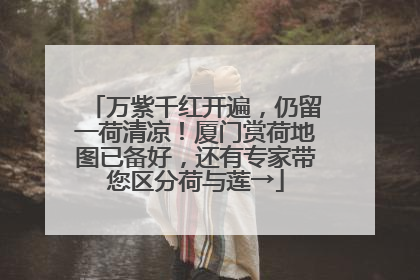 万紫千红开遍，仍留一荷清凉！厦门赏荷地图已备好，还有专家带您区分荷与莲→