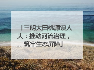三明大田桃源镇人大：推动河流治理，筑牢生态屏障