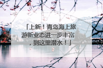 上新！青岛海上旅游新业态进一步丰富，到这里潜水！
