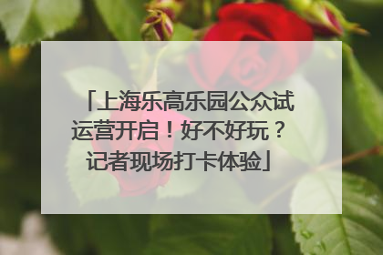 上海乐高乐园公众试运营开启！好不好玩？记者现场打卡体验