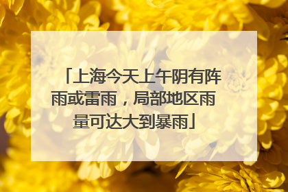 上海今天上午阴有阵雨或雷雨，局部地区雨量可达大到暴雨