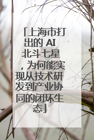 上海市打出的 AI 北斗七星，为何能实现从技术研发到产业协同的闭环生态